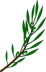 161px-olive_branch_drawing-svg